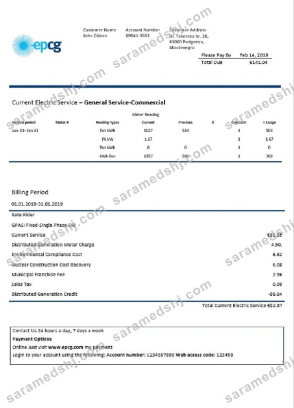 Montenegro Elektroprivreda Crne Gore (EPCG) electricity utility bill template in Word and PDF format
